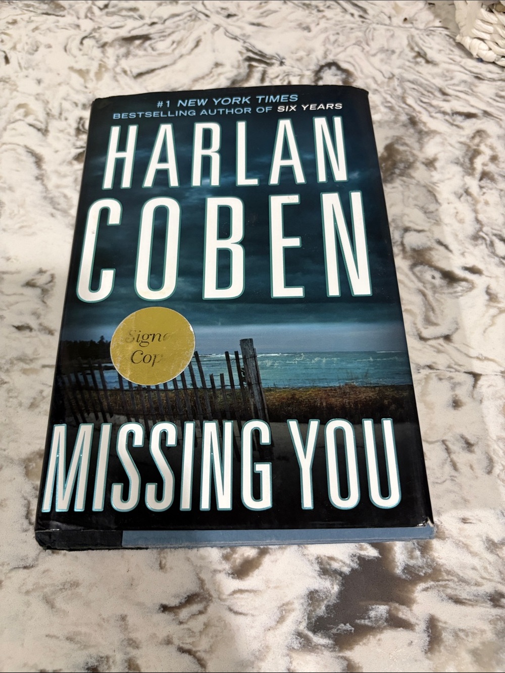 Missing You by - Hardcover (Blue/Black Cover)